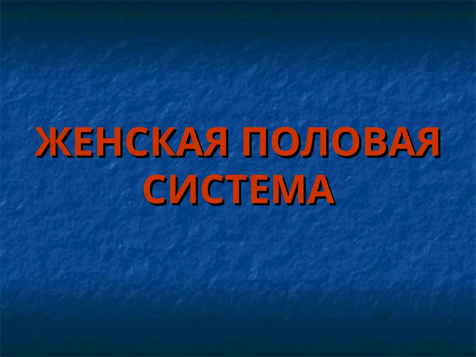 Женская половая система
