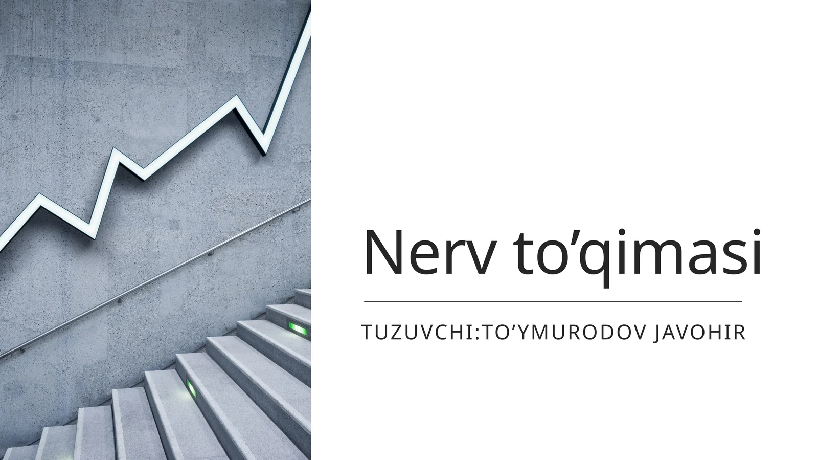 Nerv toʻqimasi