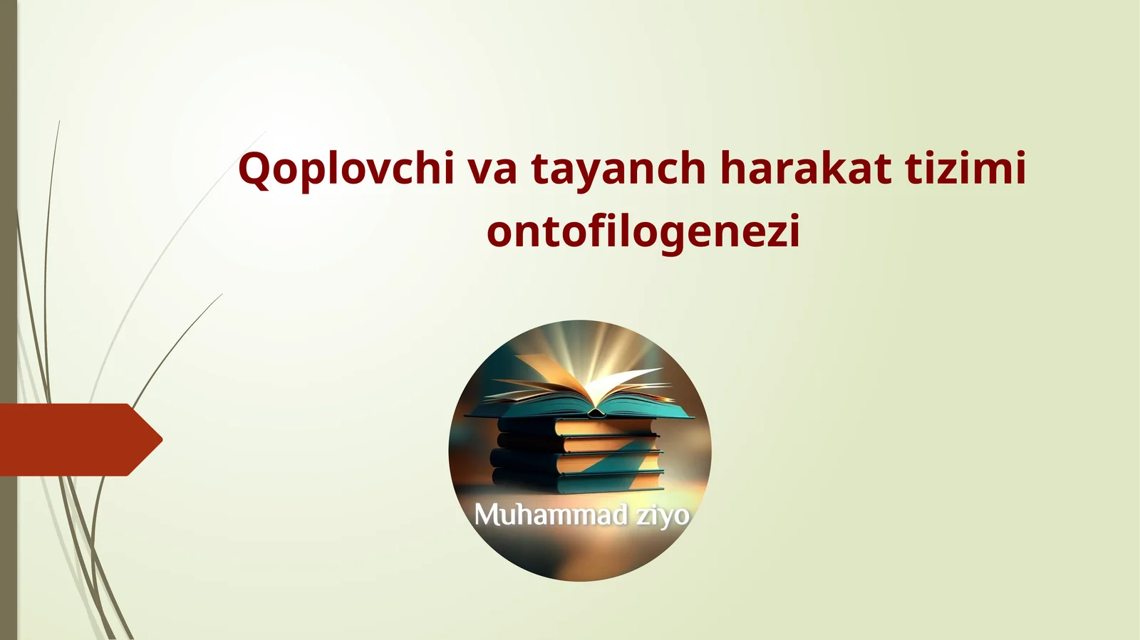 Qoplovchi va tayanch harakat tizimi ontofilogenezi