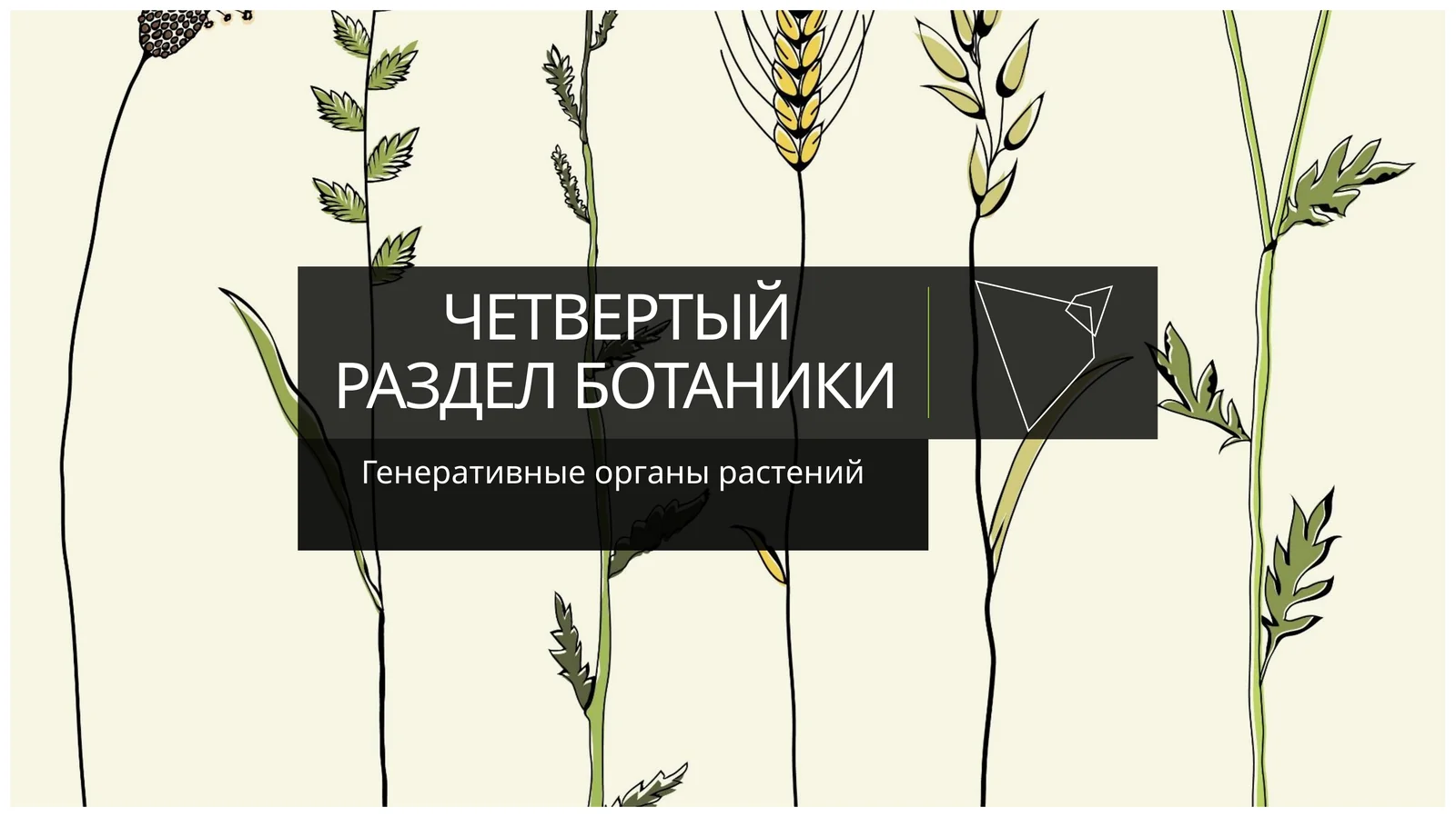 ЧЕТВЕРТЫЙ РАЗДЕЛ БОТАНИКИ