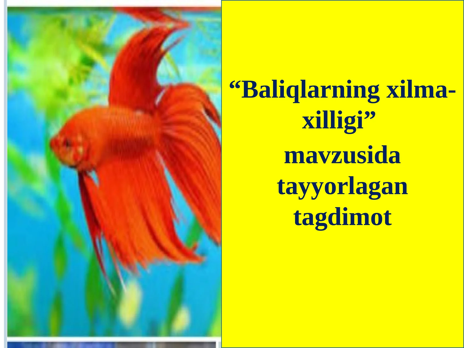 Baliqlarningxilma-xilligi
