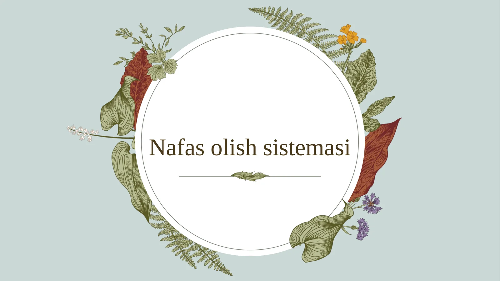 Umurtqalilar nafas olish sistemasi filogenezi