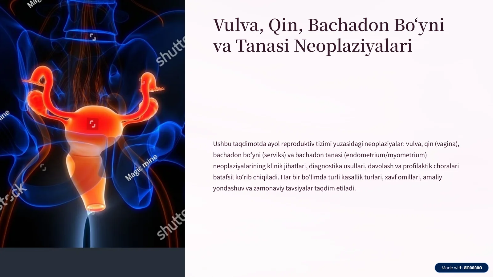 Vulva, Qin, Bachadon Boʻyni va Tanasi Neoplaziyalari