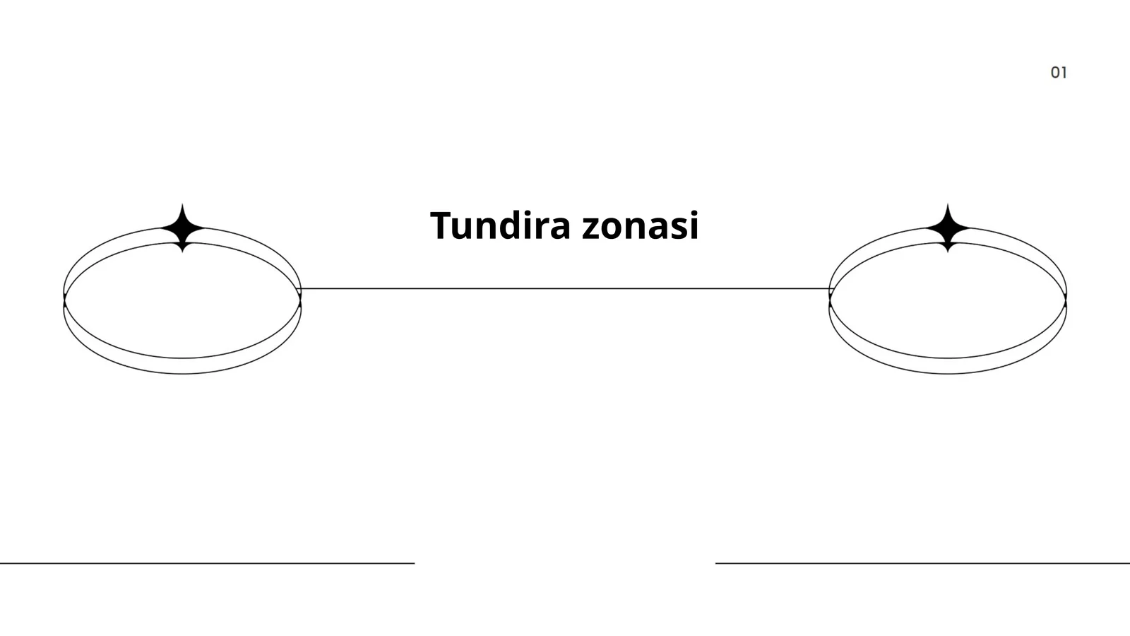 Tundira zonasi