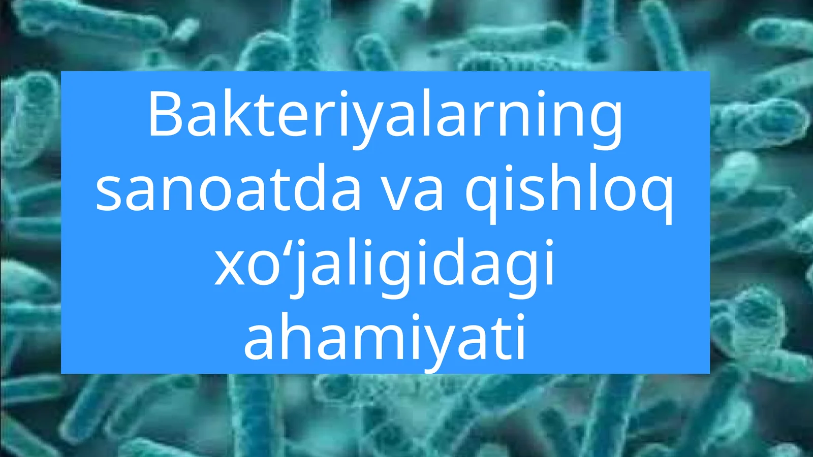 Bakteriyalarning sanoatda va qishloq xoʻjaligidagi ahamiyati