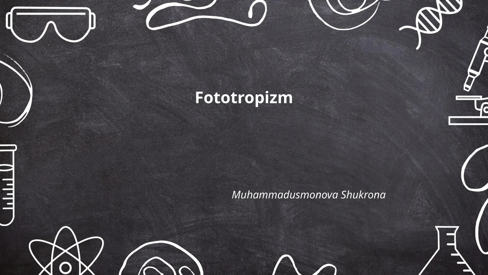 Fototropizm