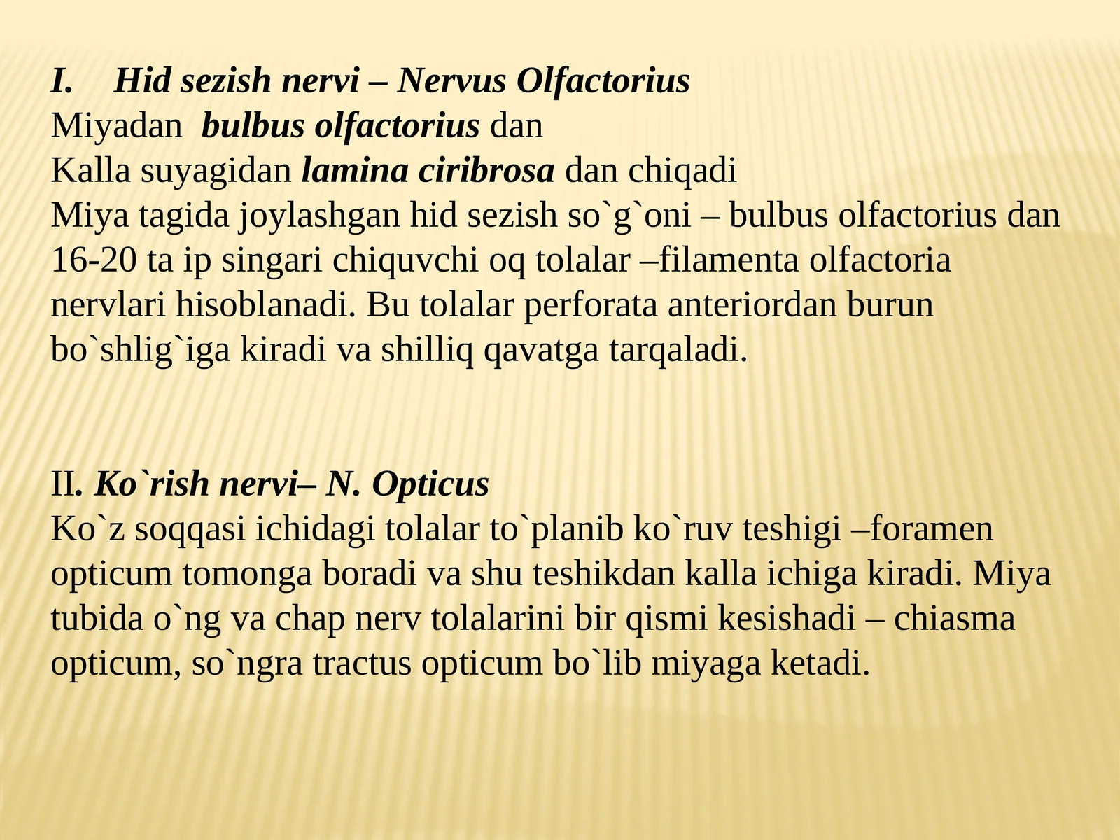 Nervus Olfactorius