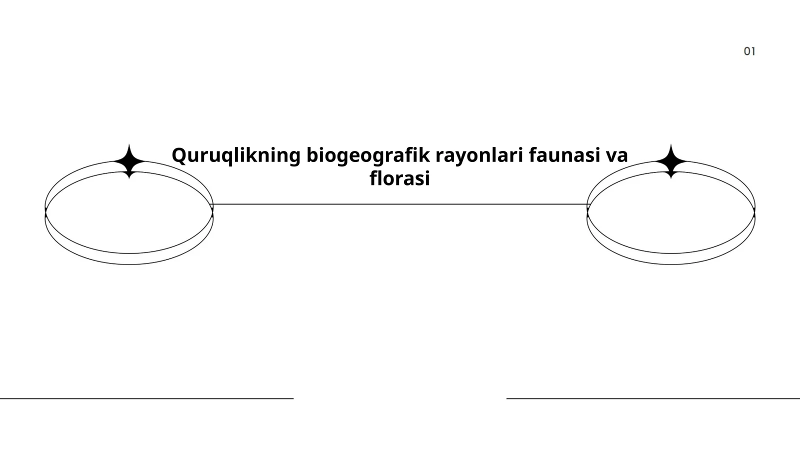 Quruqlikning biogeografik rayonlari faunasi va florasi