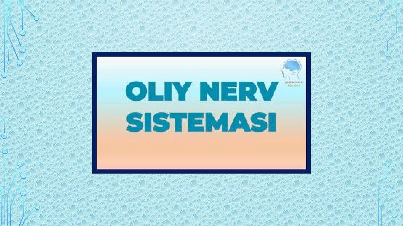 Oliy nerv faoliyati