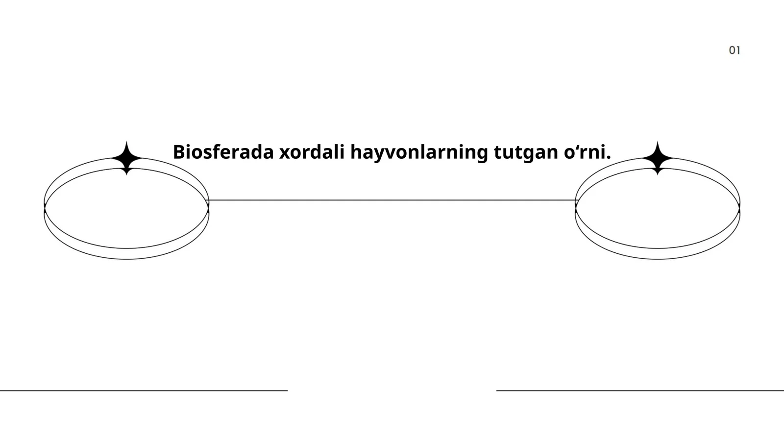 Xayvonlarning biosfera muvozanatidagi o‘rni