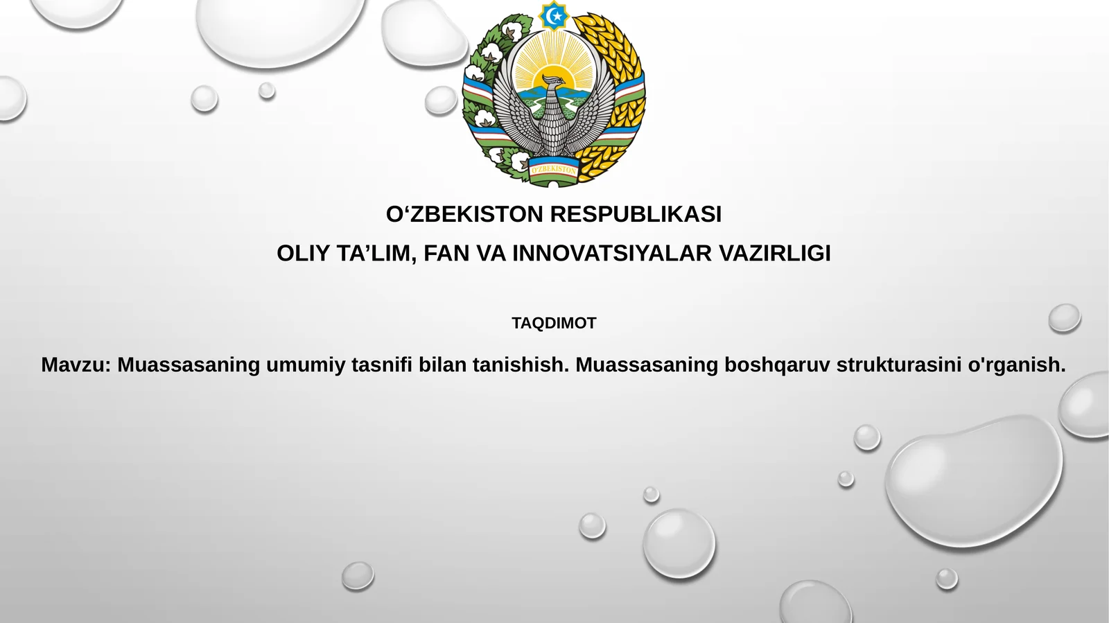 Muassasaning umumiy tasnifi va tashkiliy tuzilmasi