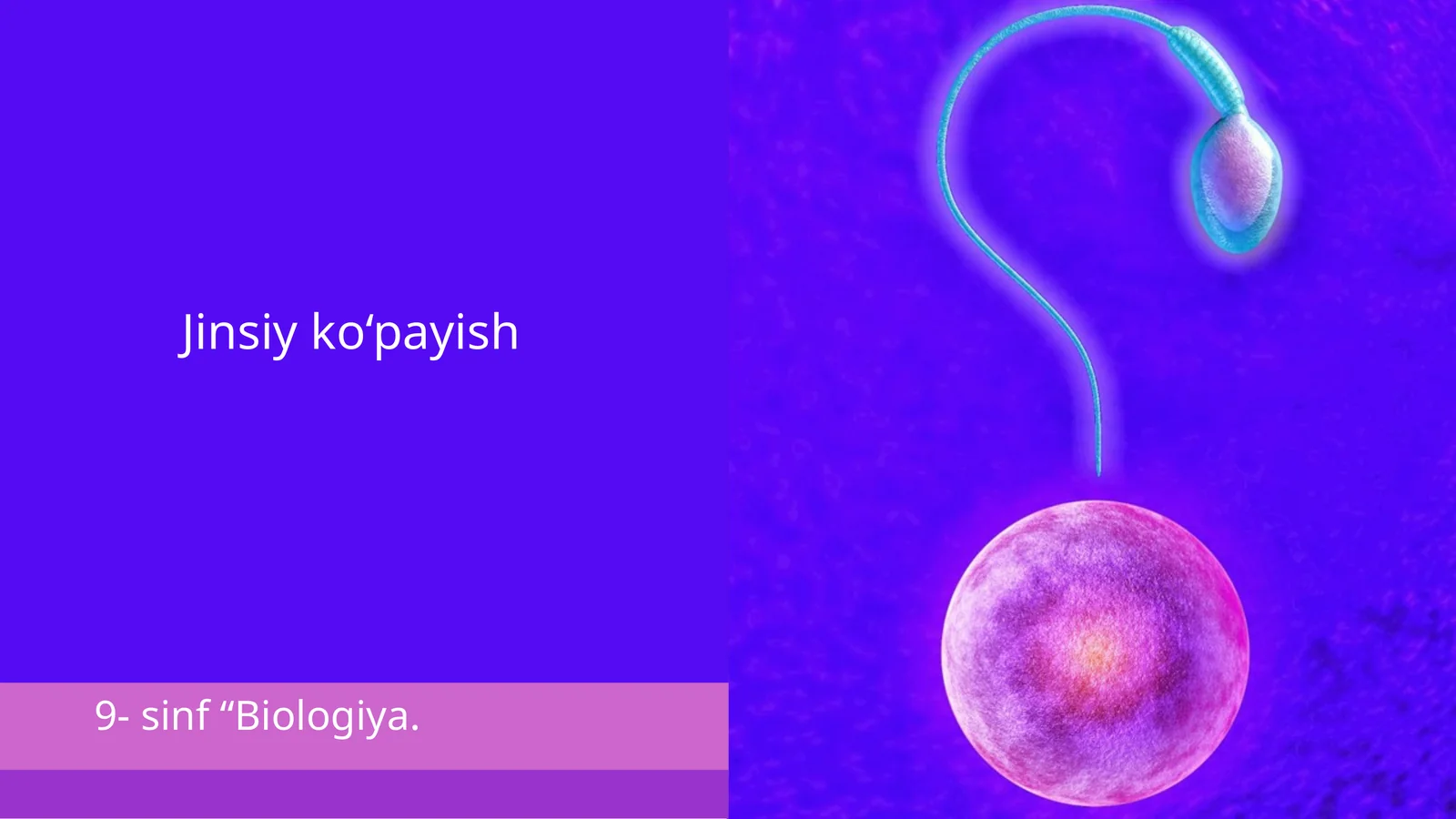 Jinsiy ko‘payish