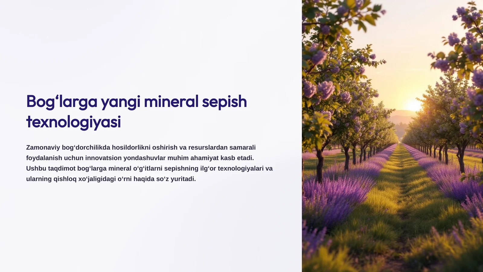 Bog‘larga yangi mineral sepish texnologiyasi