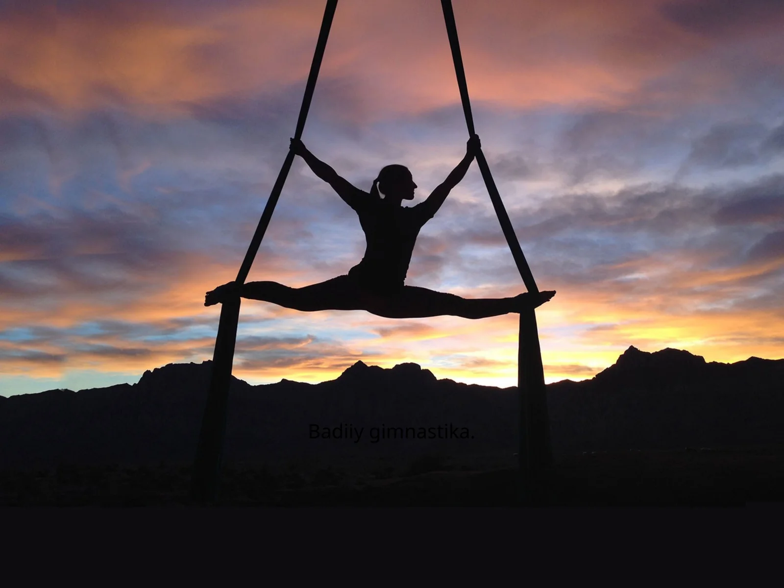 Badiiy gimnastika