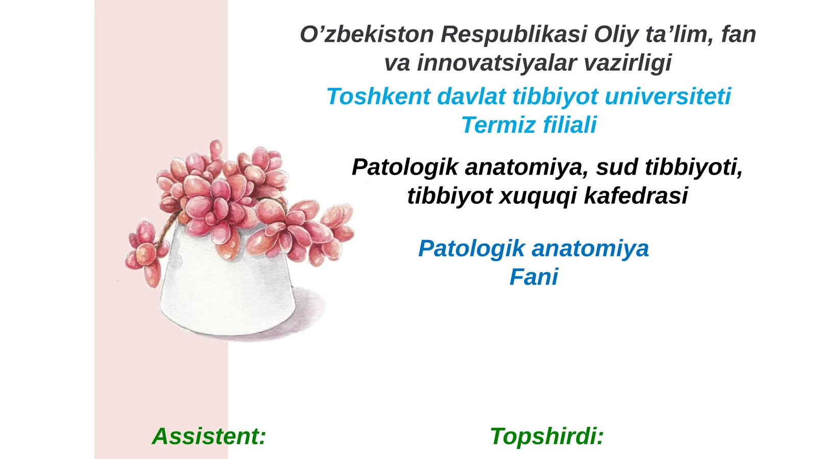 Orbita funksional anatomiyasi. Oʼsmalari. Kon'yuktiva, sklera va shox pardasi anatomiyasi va kasalliklari