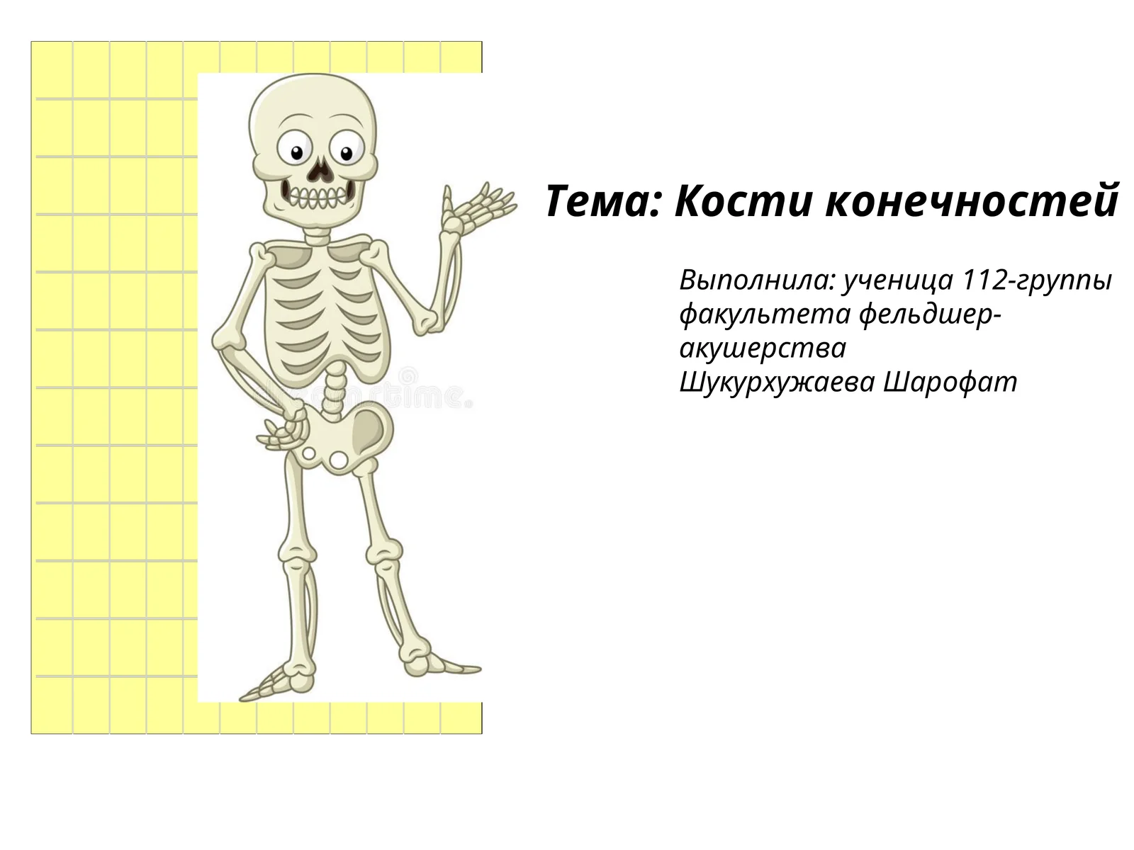 Кости конечностей