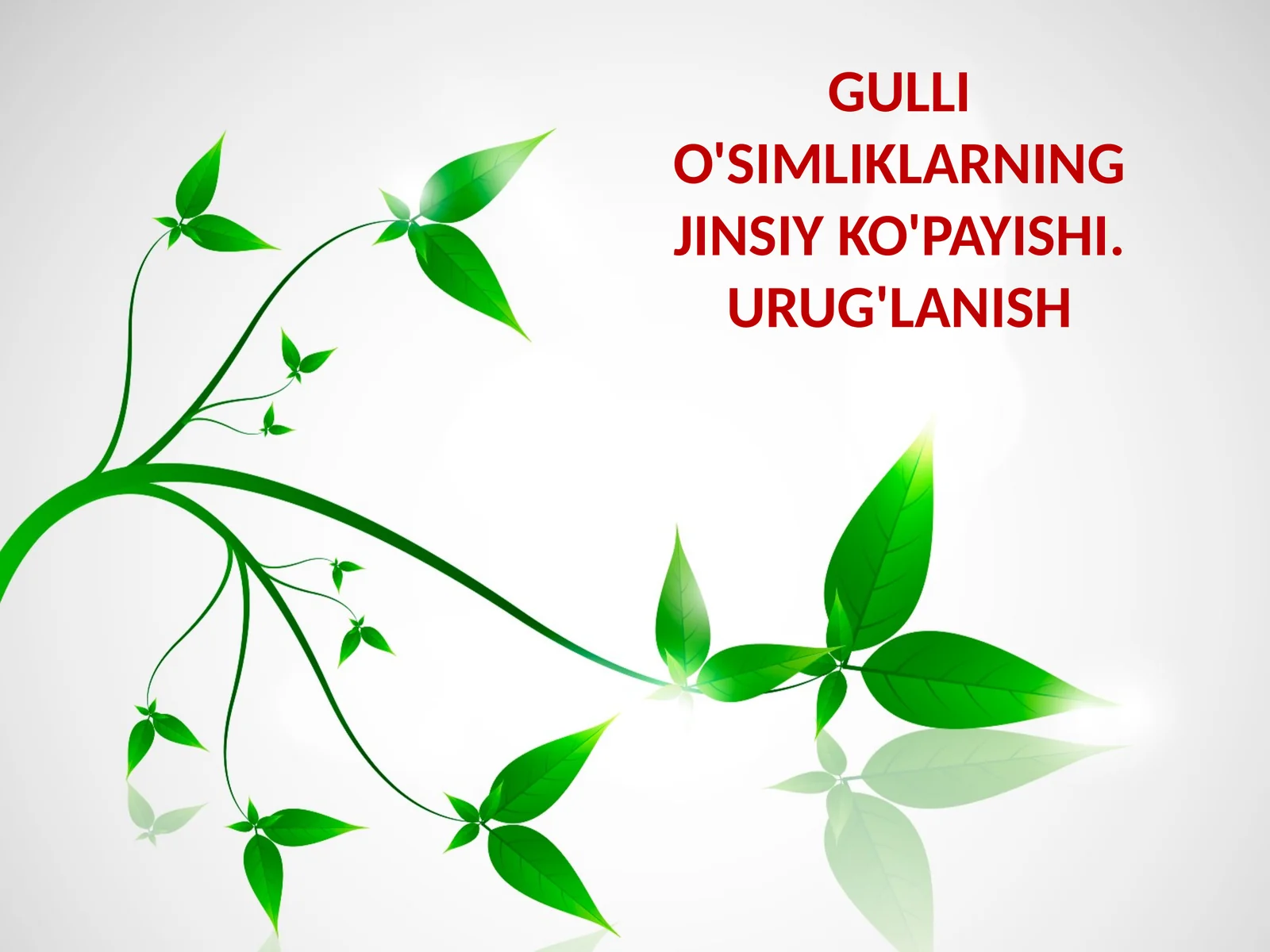 GULLIO'SIMLIKLARNING JINSIY KO'PAYISHI. URUG'LANISH