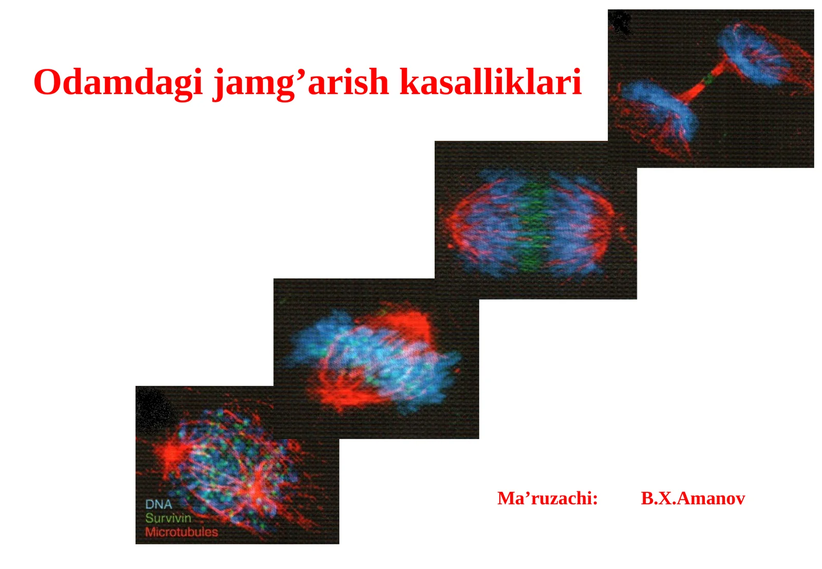 Odamdagi jamg’arish kasalliklari