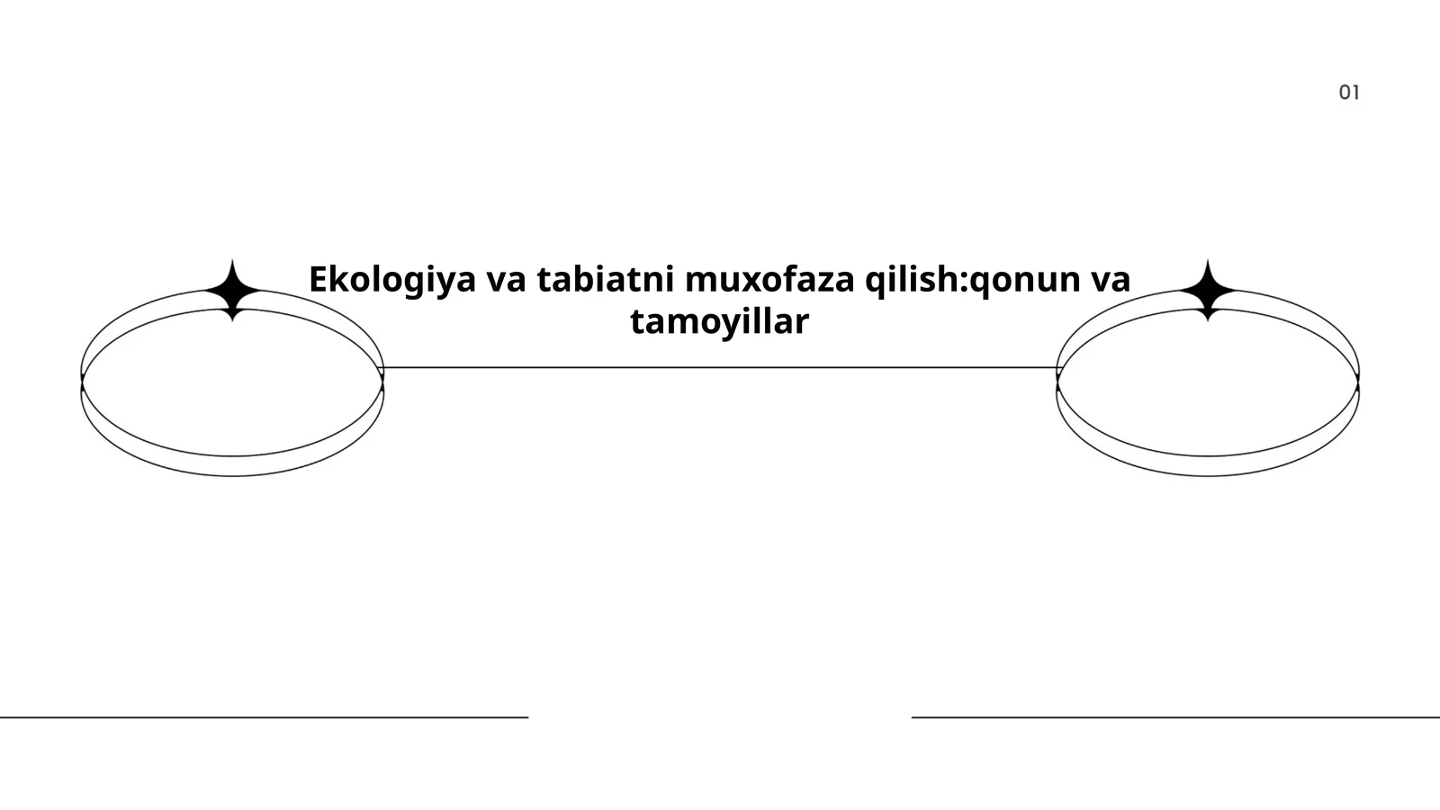 Ekologiya va tabiatni muxofaza qilish:qonun va tamoyillar