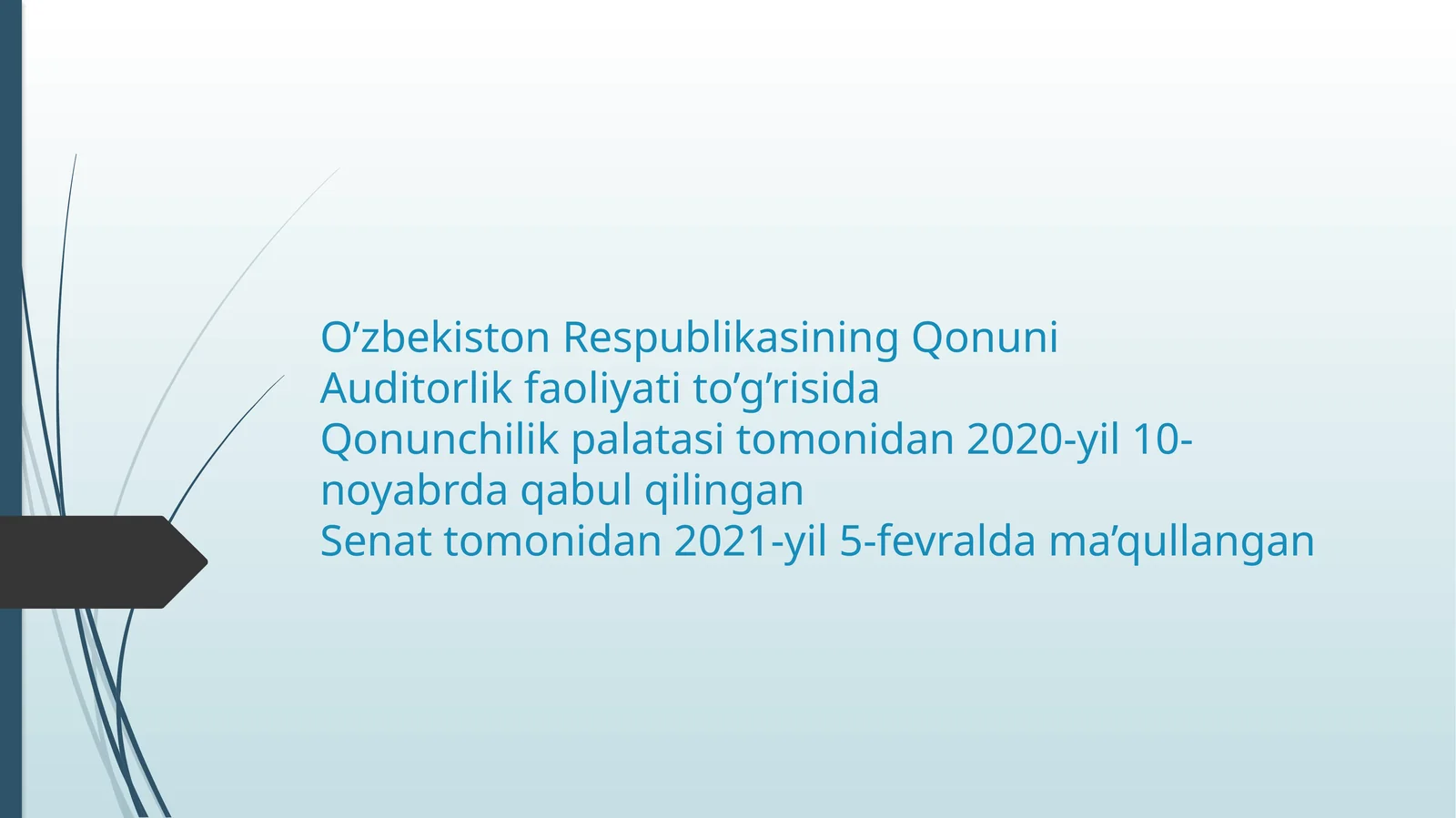 Auditorlik faoliyati to‘g‘risida Qonun