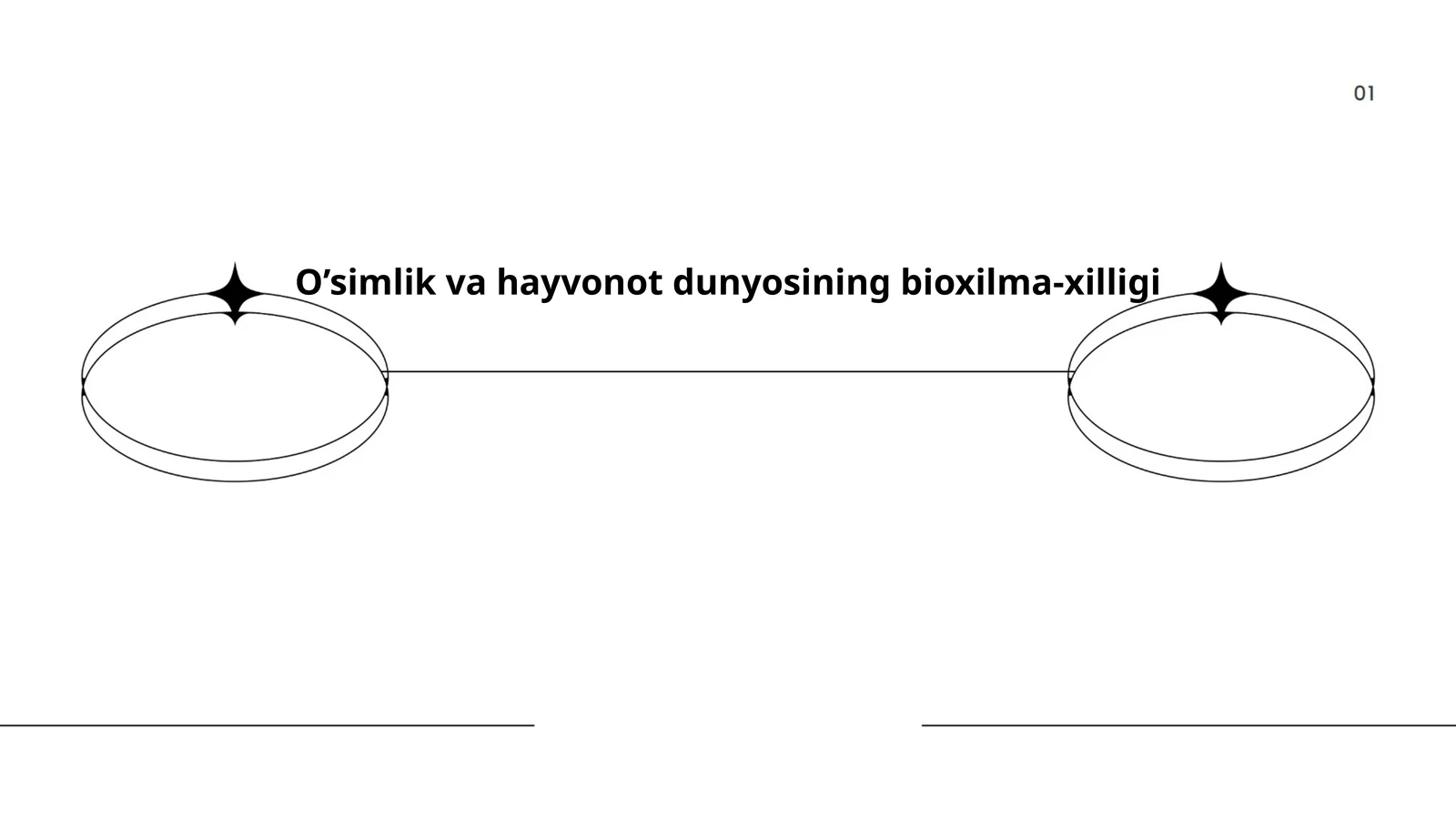 O’simlik va hayvonot dunyosining bioxilma-xilligi
