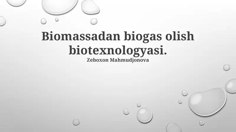 Biomassadan biogas olish biotexnologyasi
