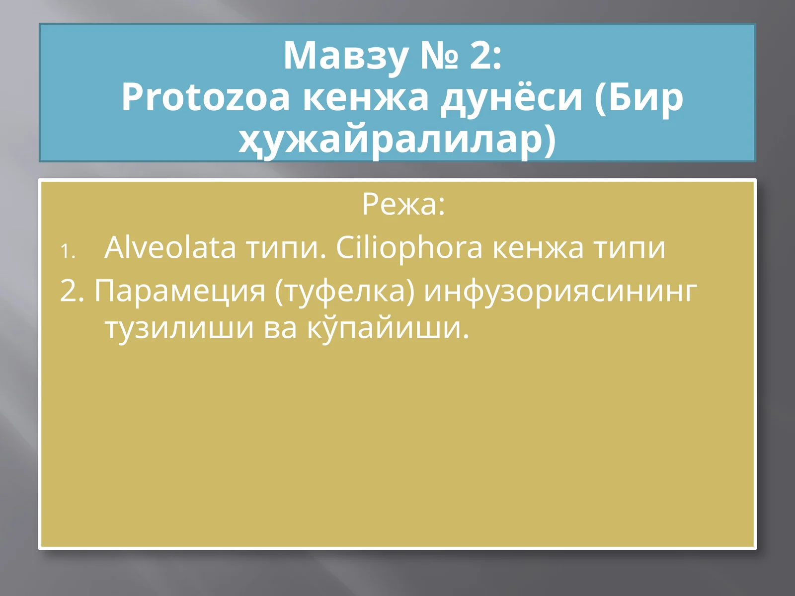 Protozoa кенжа дунёси (Бир ҳужайралилар)