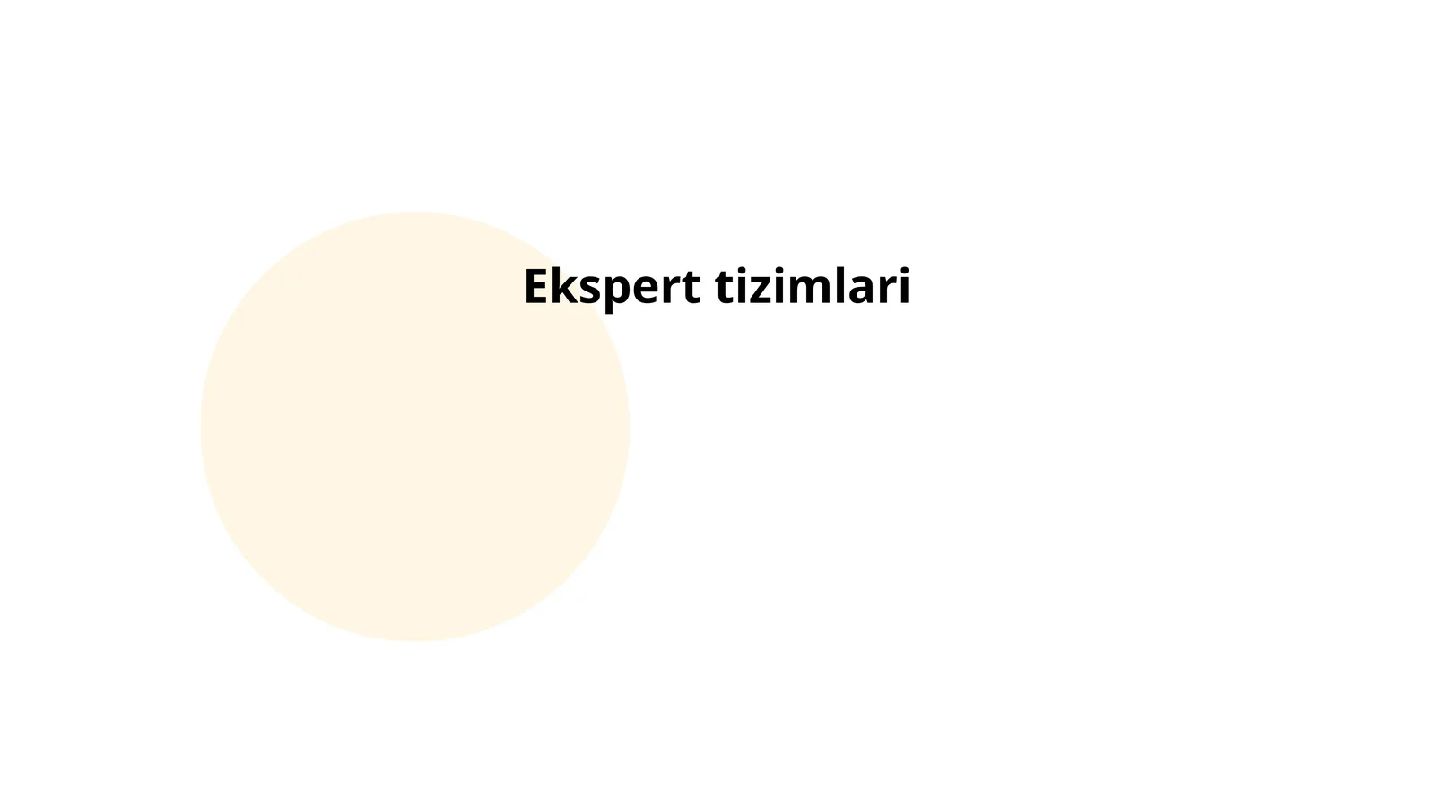Ekspert tizimlari