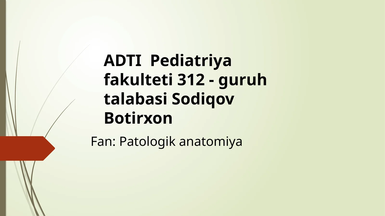 PerikardAnatomiyasivaFiziologiyasi