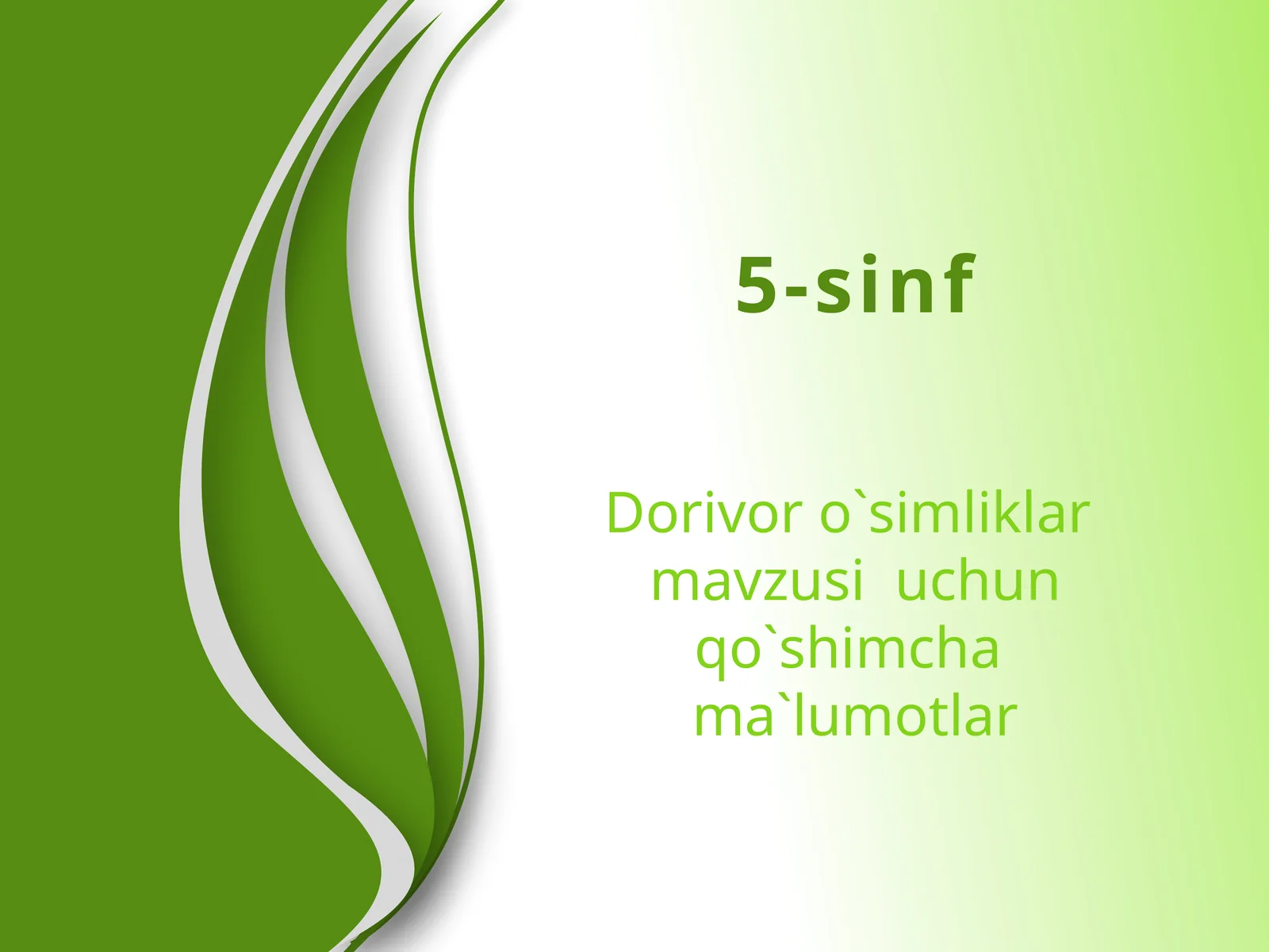 Dorivor o`simliklar