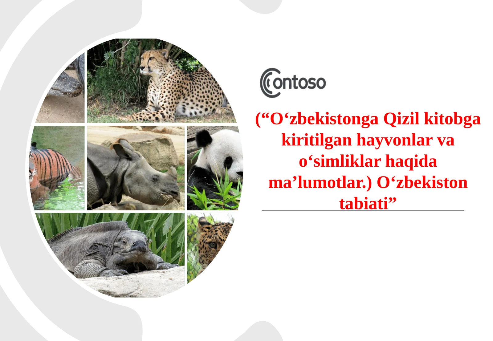 (“O‘zbekistonga Qizil kitobga kiritilgan hayvonlar va o‘simliklar haqida ma’lumotlar.)