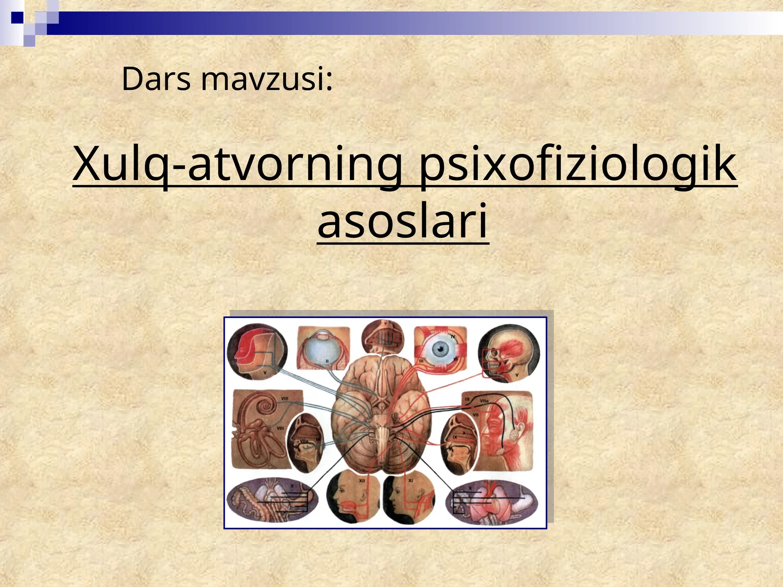 Xulq-atvorning psixofiziologik asoslari
