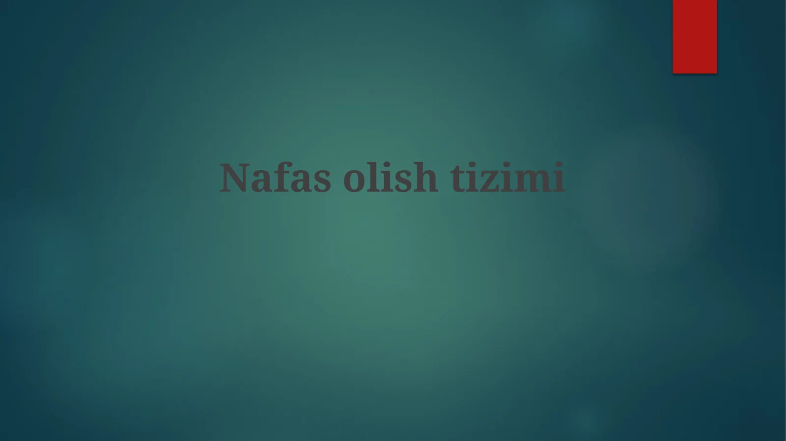 Nafasolishtizimi