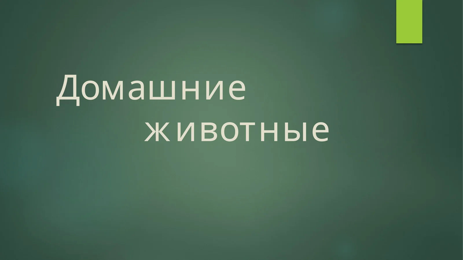 Домашние животные