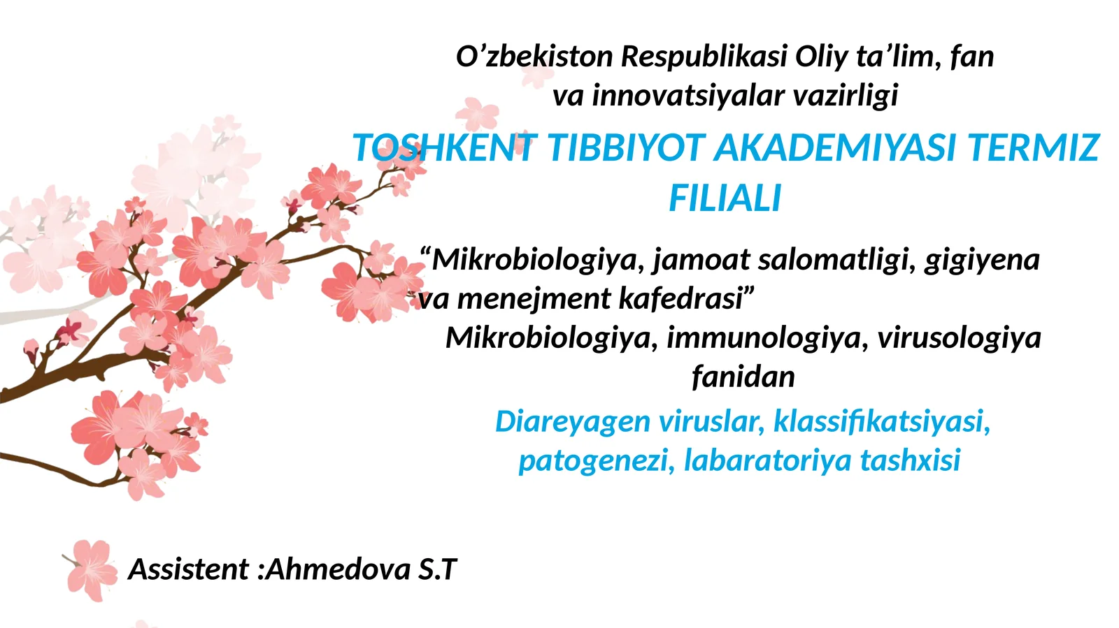 Diareyagen viruslar