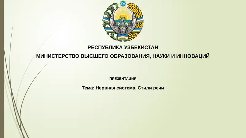 Нервная система. Стили речи