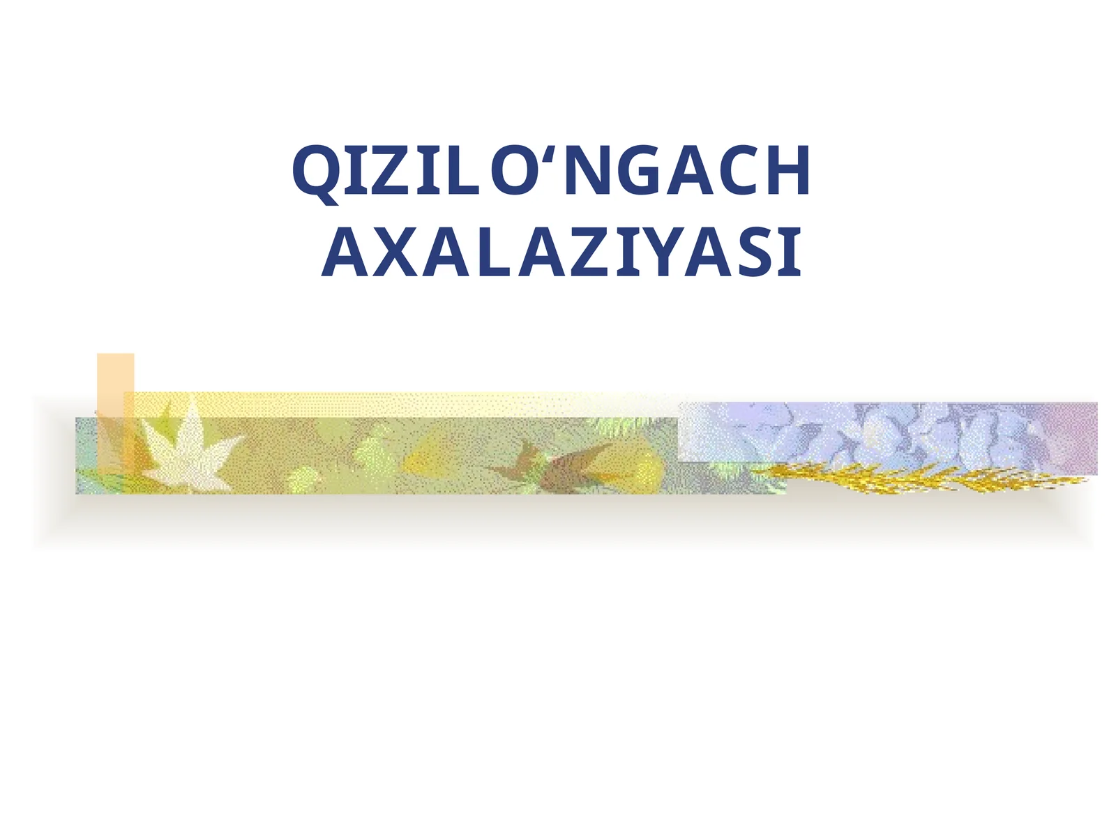 QIZILO‘NGACH AXALAZIYASI