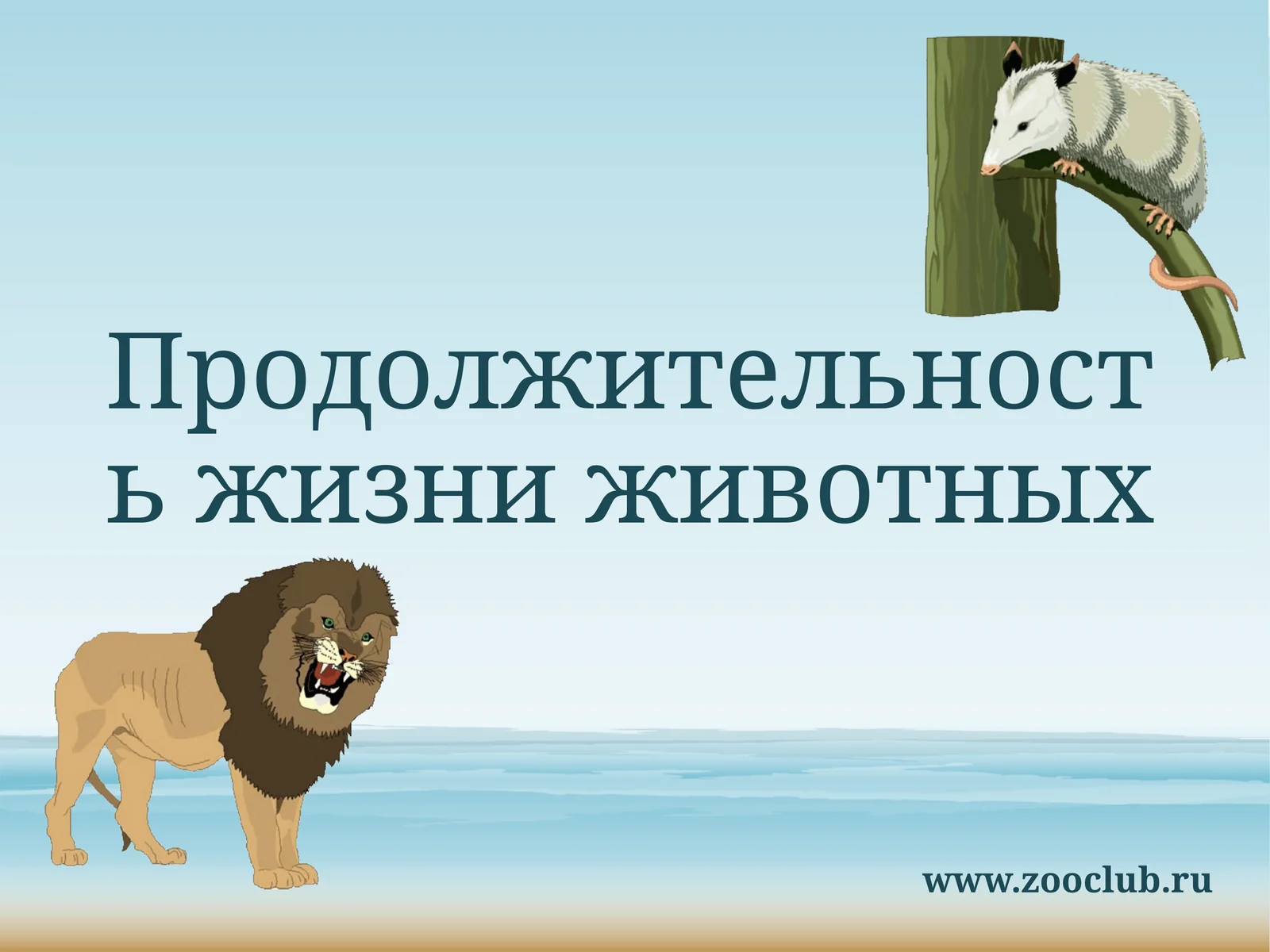 Продолжительность жизни животных