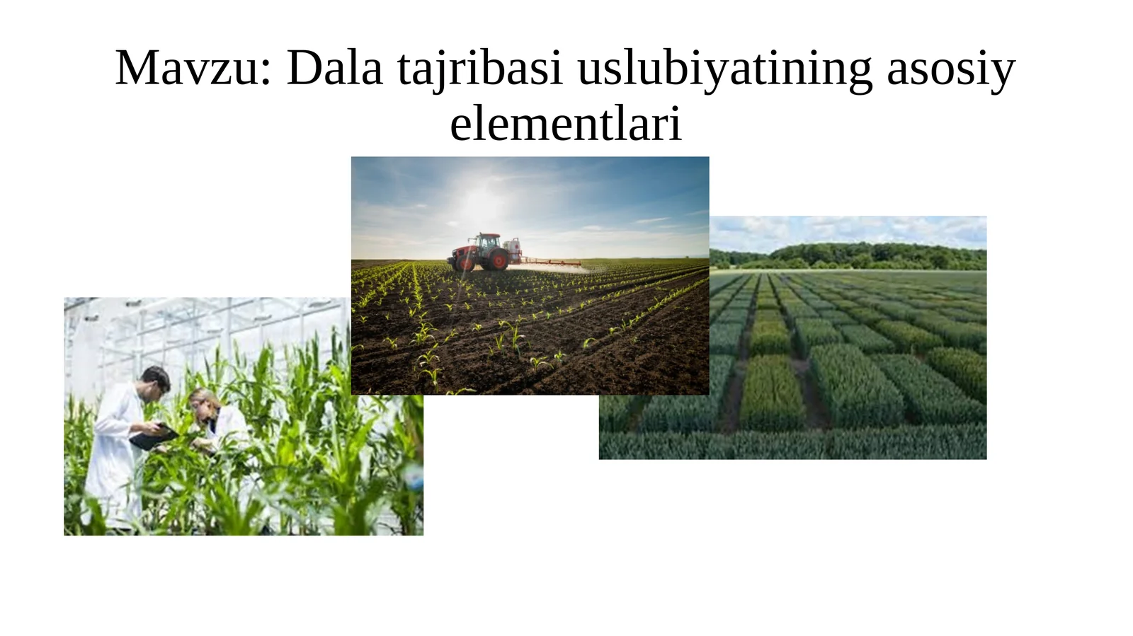 Dalatajribasiuslubiyatiningasosiyelementlari