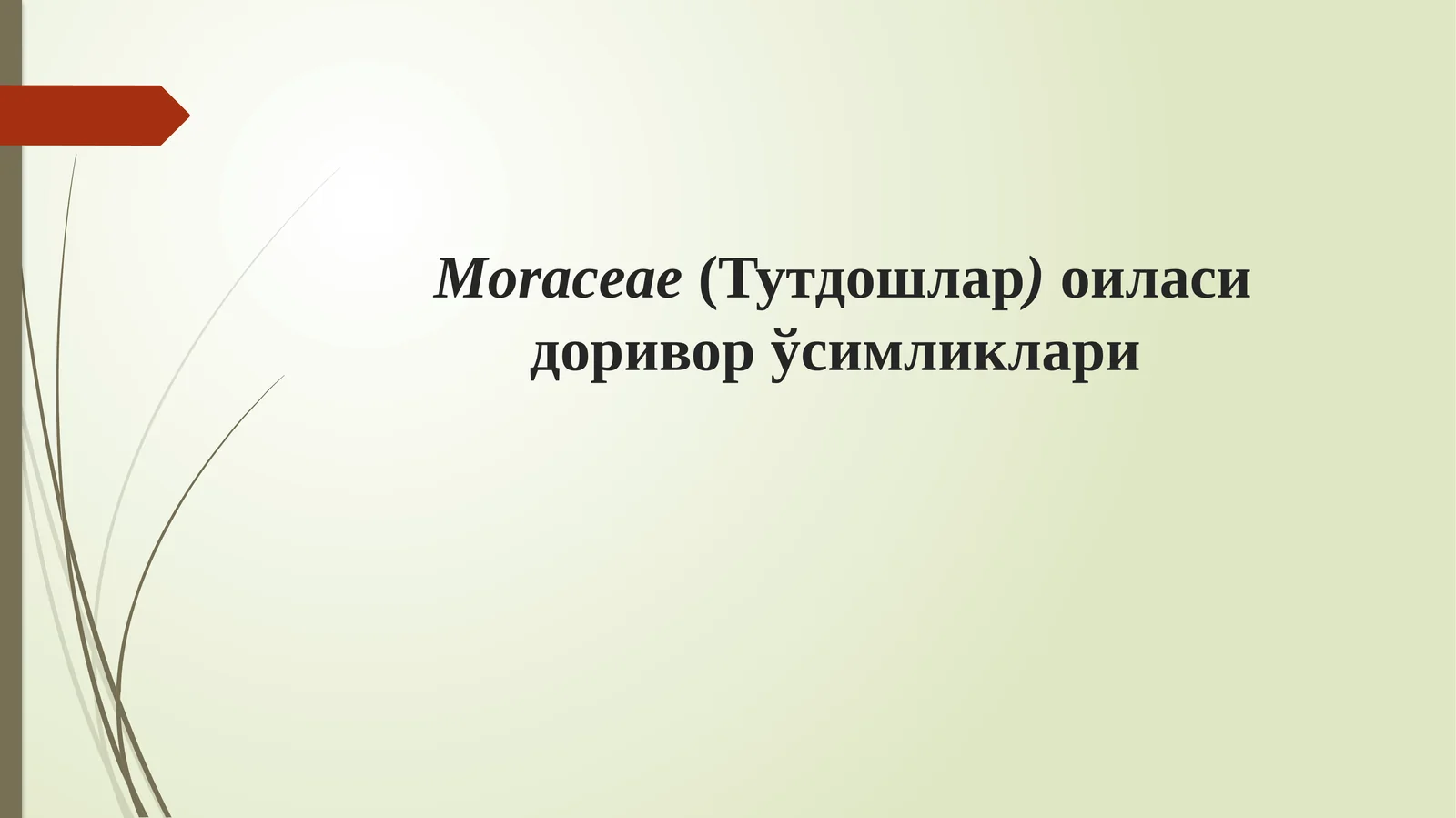 Тутдошлар оиласи доривор ўсимликлари