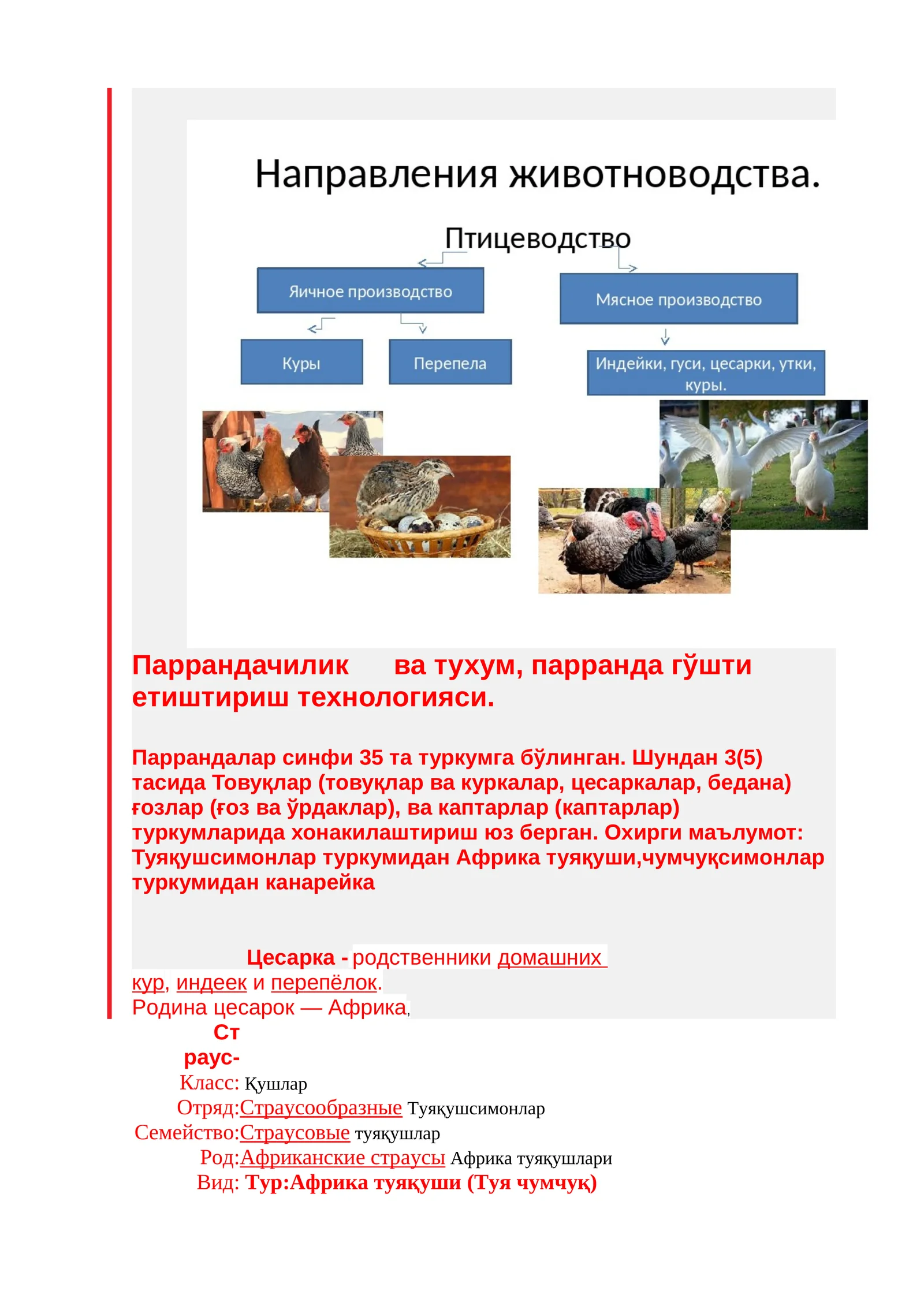 Паррандачилик ва тухум, парранда гўшти етиштириш технологияси