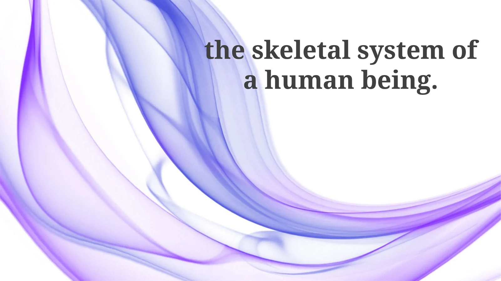 Skeletal system of a human being