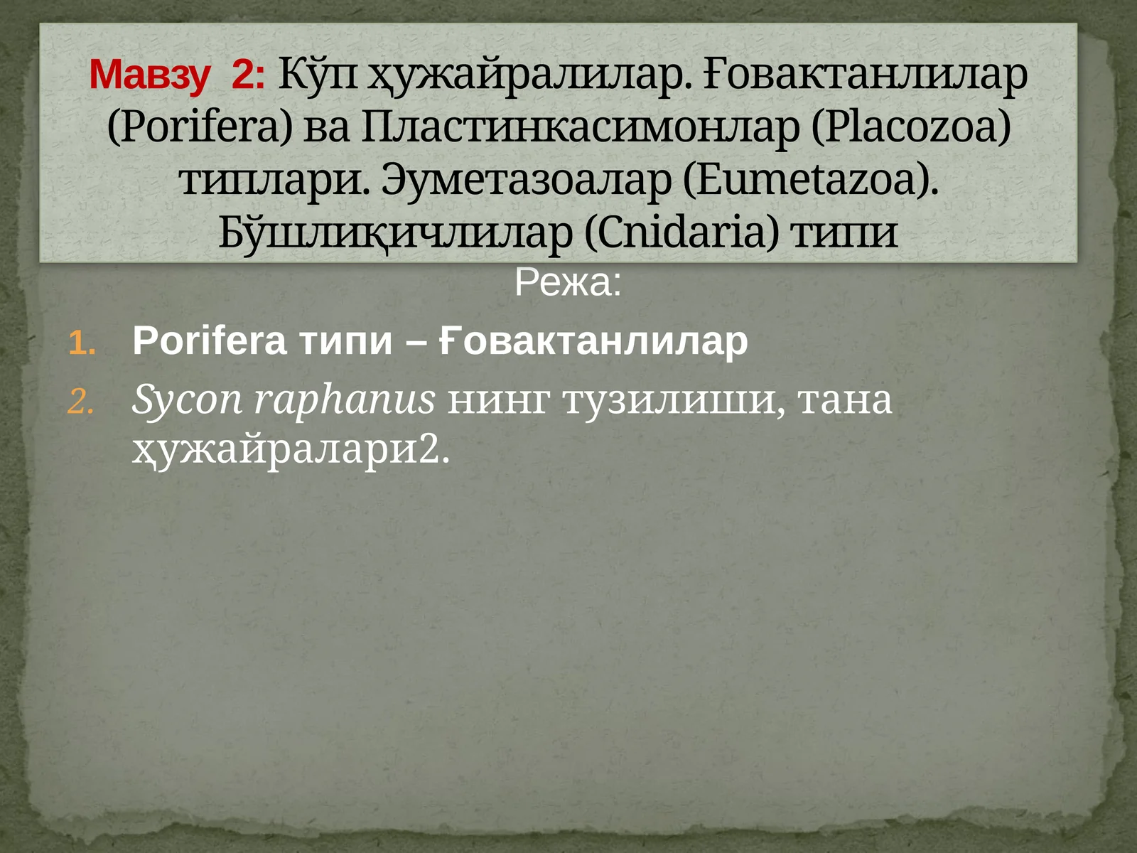 Porifera(Spongia) –Ғовактанлилар типи