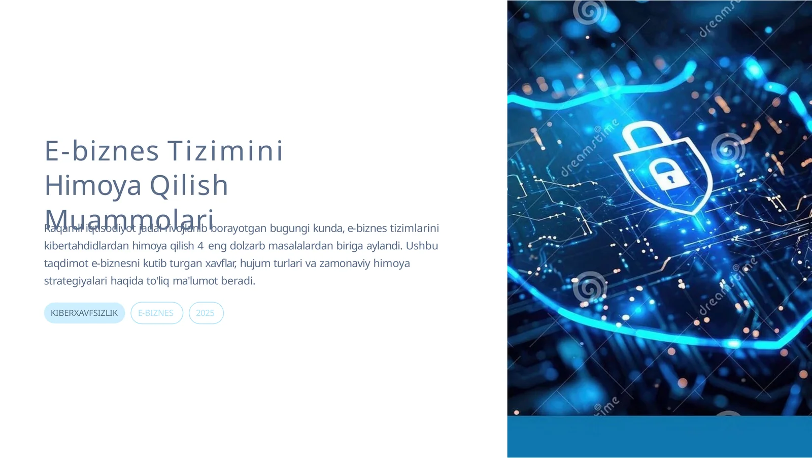 Muammolari E-biznes Tizimini Himoya Qilish
