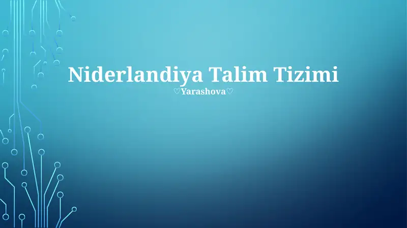 Niderlandiya Talim Tizimi