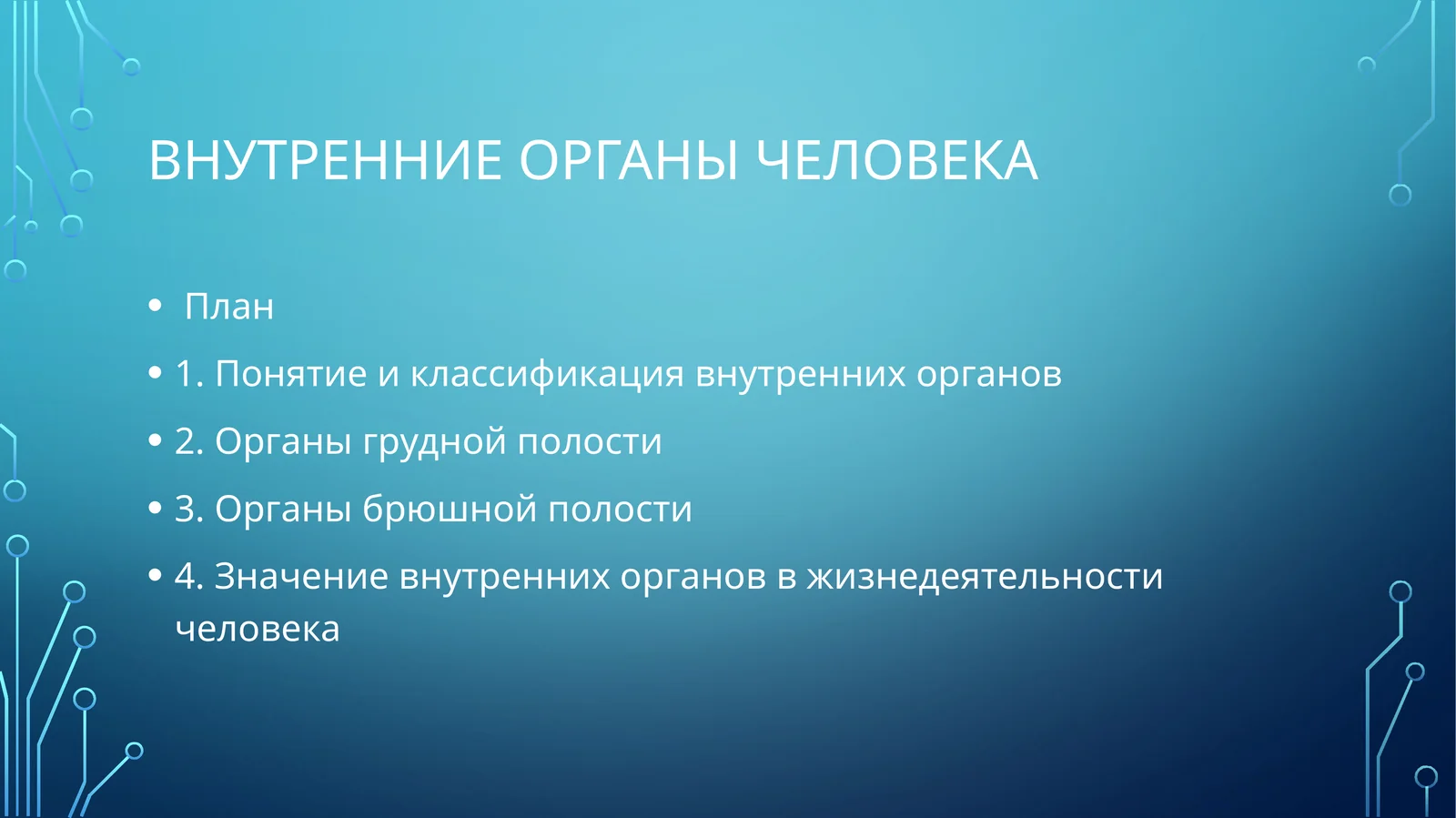 Внутренние органы человека