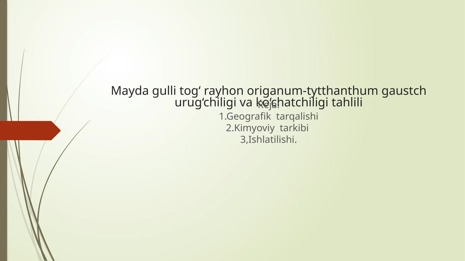 Mayda gulli tog‘ rayhon origanum-tytthanthum gaustch urug‘chiligi va ko‘chatchiligi tahlili