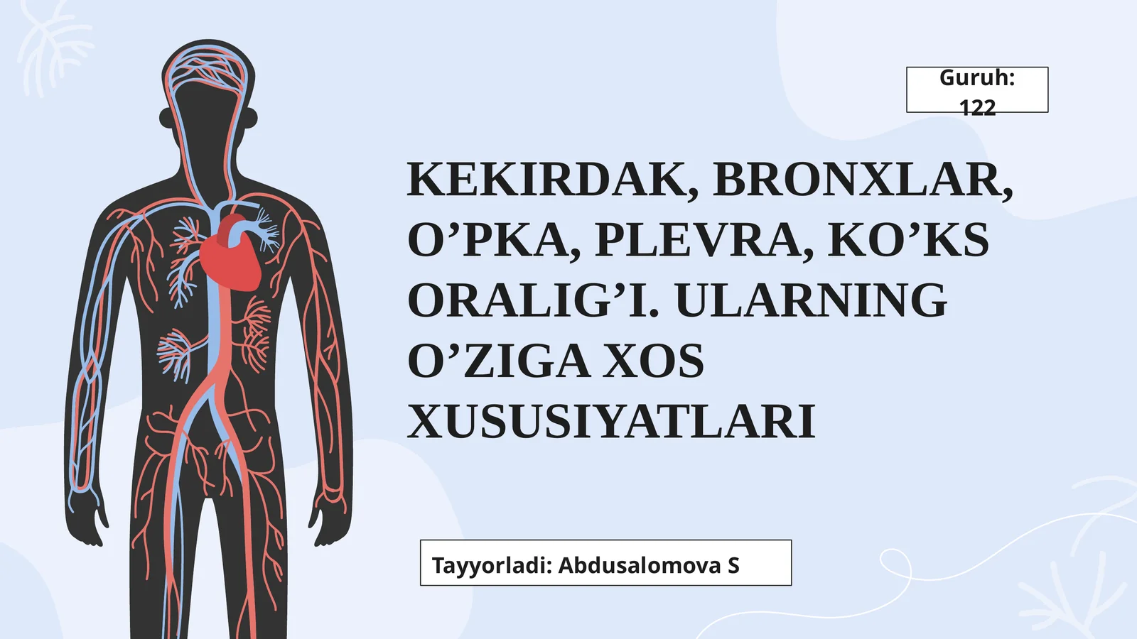 Kekirdak, Bronxlar, O’pka, Plevra, Ko’ks oralig’i