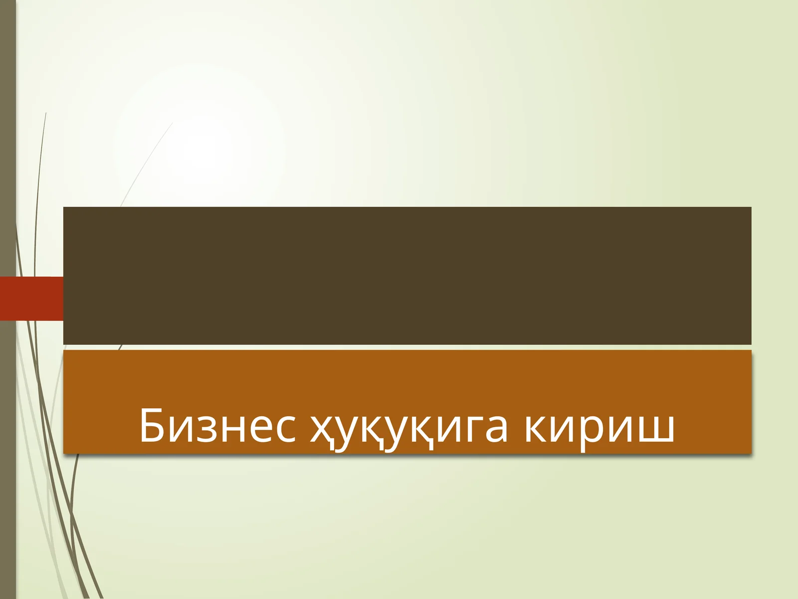 Бизнес ҳуқуқига кириш