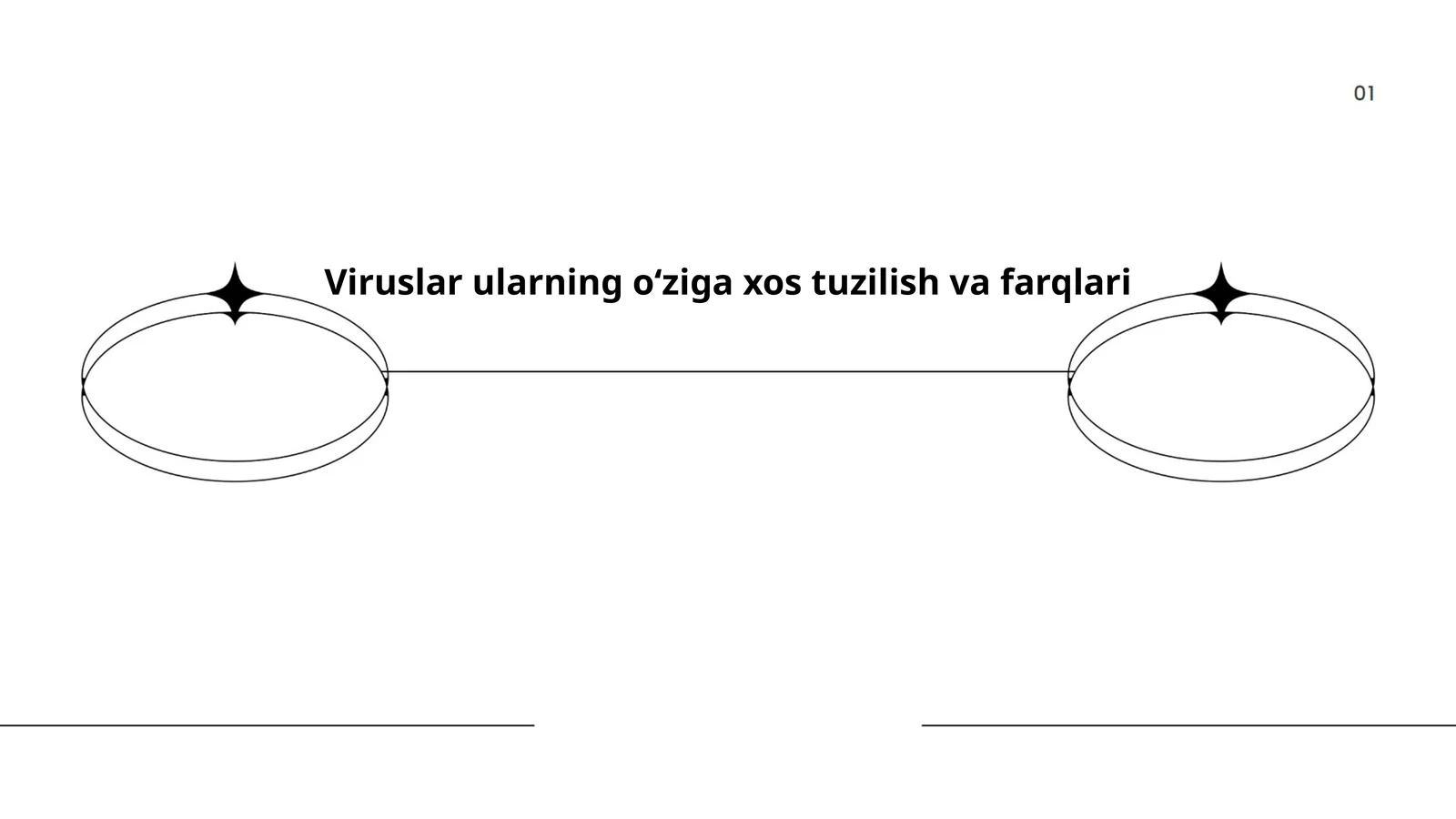 Viruslarning tuzilishi va farqlari
